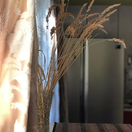 Nadiira Vakantiehuis *