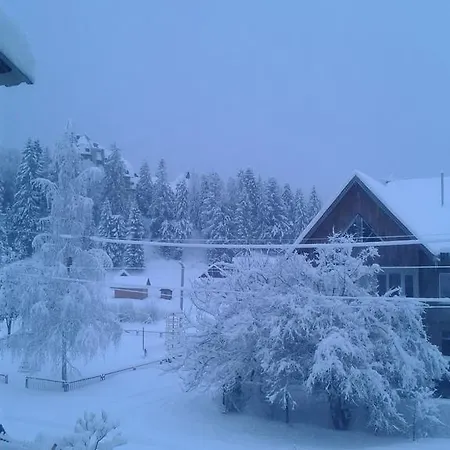 Nadiira Tatil Evi Slavske