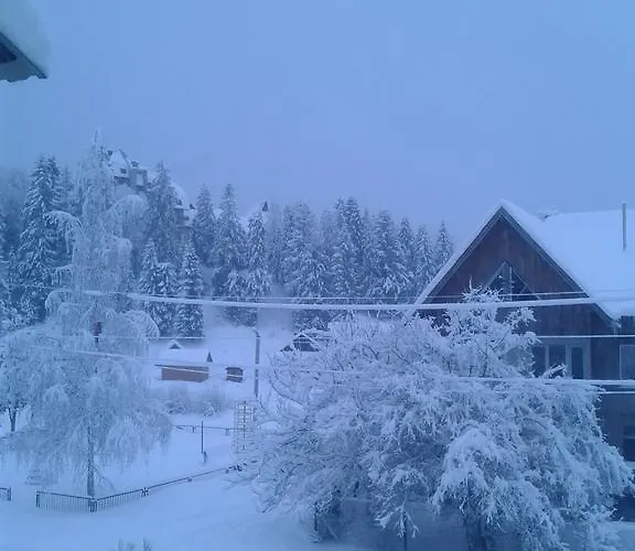 Nadiira Tatil Evi Slavske